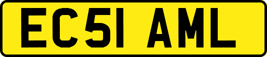 EC51AML