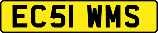 EC51WMS