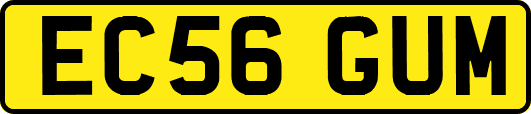 EC56GUM