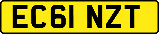 EC61NZT
