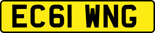EC61WNG