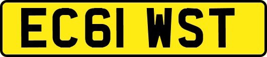 EC61WST