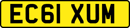 EC61XUM