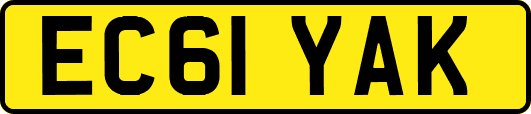 EC61YAK