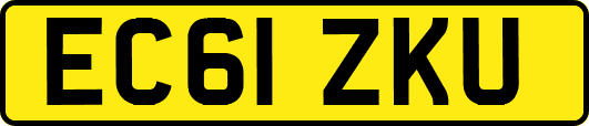 EC61ZKU