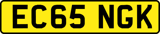 EC65NGK