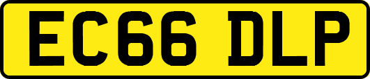 EC66DLP