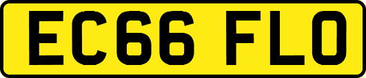 EC66FLO