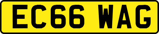 EC66WAG