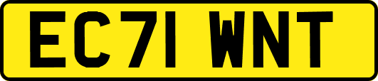EC71WNT