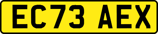 EC73AEX
