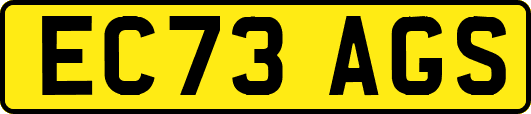 EC73AGS