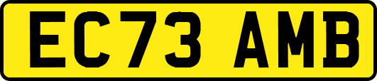 EC73AMB
