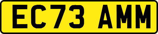 EC73AMM