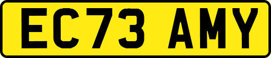 EC73AMY