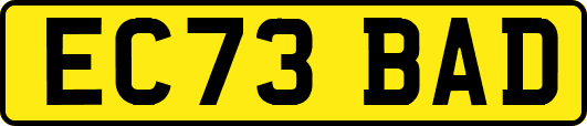 EC73BAD
