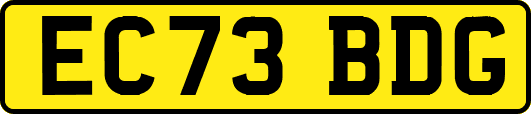 EC73BDG