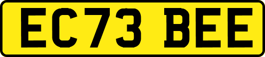 EC73BEE