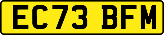 EC73BFM