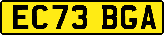 EC73BGA