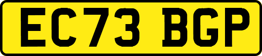 EC73BGP