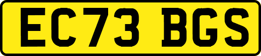 EC73BGS