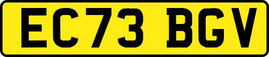 EC73BGV