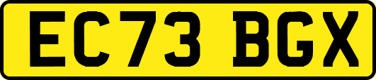 EC73BGX