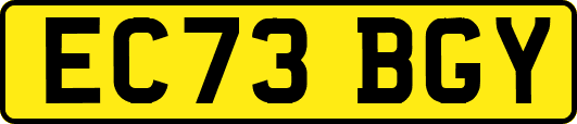EC73BGY