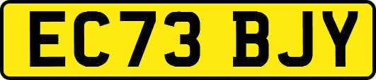 EC73BJY