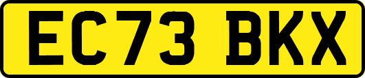 EC73BKX