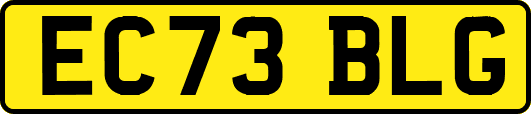 EC73BLG