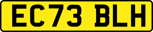 EC73BLH