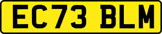 EC73BLM
