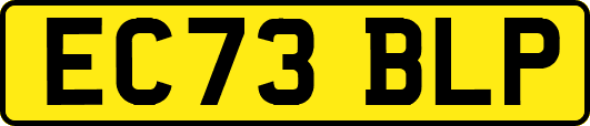 EC73BLP