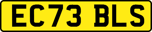 EC73BLS