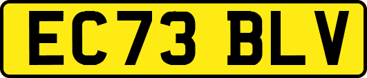 EC73BLV