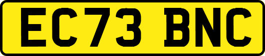 EC73BNC