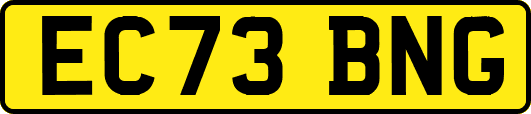 EC73BNG
