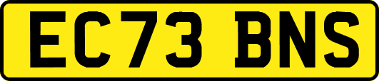EC73BNS