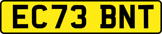 EC73BNT