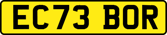 EC73BOR