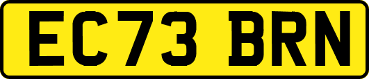 EC73BRN