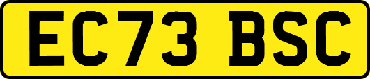 EC73BSC