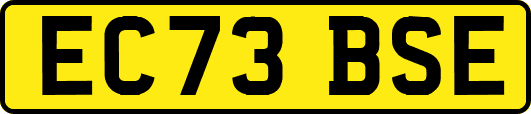 EC73BSE