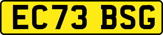EC73BSG