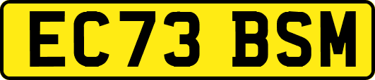EC73BSM