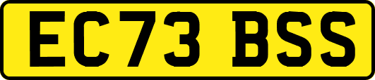 EC73BSS