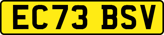 EC73BSV