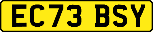 EC73BSY